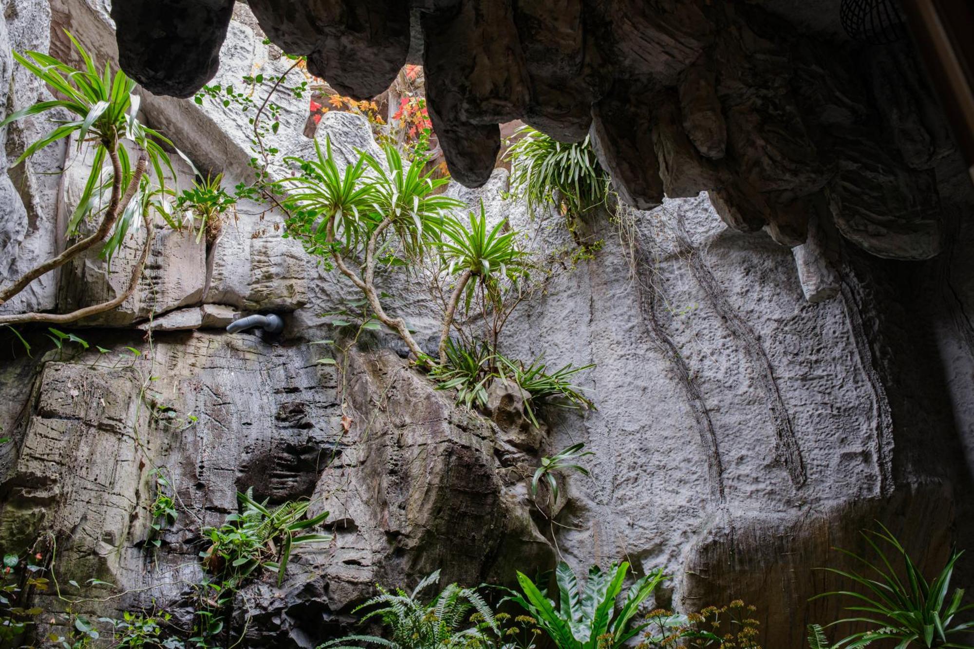 Roza Palace Cat Ba Chan Chau ภายนอก รูปภาพ